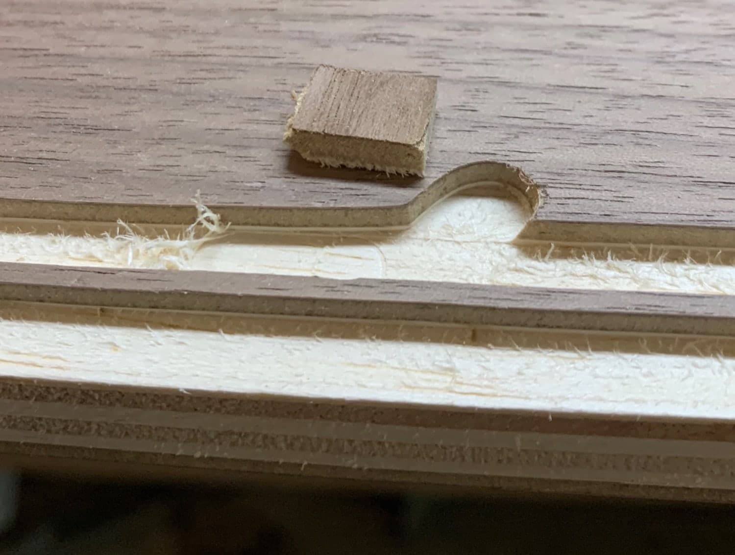 small round gash in the wood